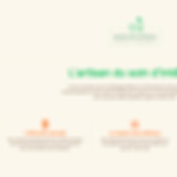 ASI – Artisan Soin d'Intérieur